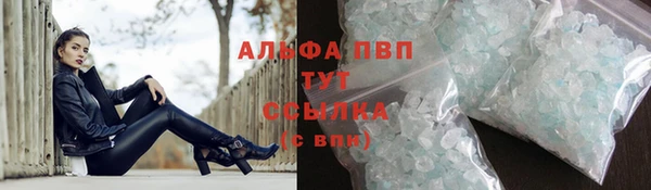 СК Касимов