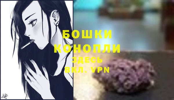 СК Касимов