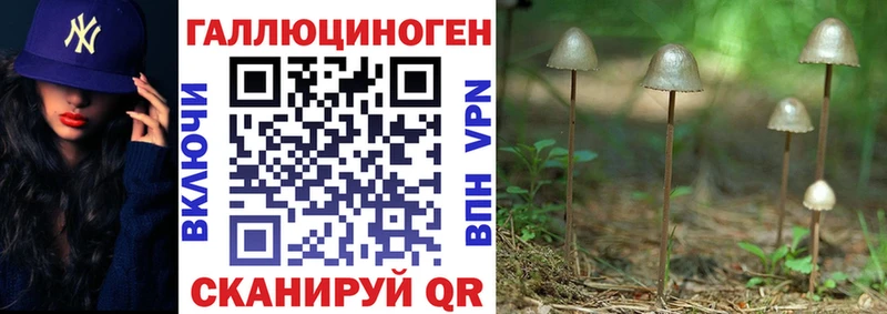 Купить закладки  Торопец  Галлюциногенные грибы мухоморы 
