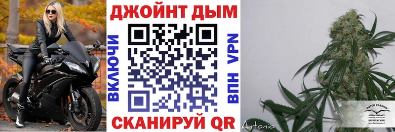 Купить закладки  Торопец  Каннабис план 
